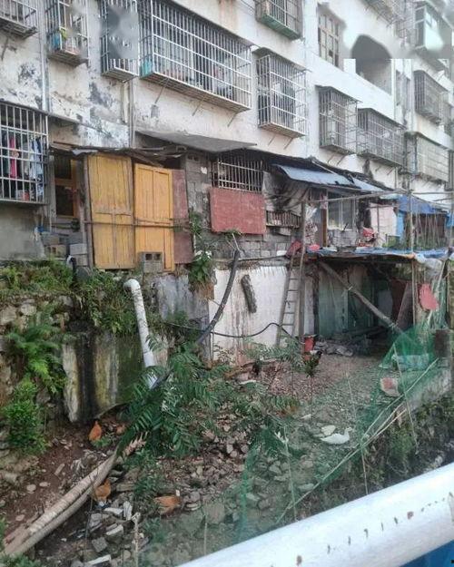 湖南龙山爆料最新消息,揭秘神秘事件背后的真相