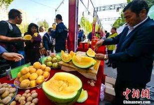 邵阳最新吃瓜爆料,揭秘神秘事件背后的真相！