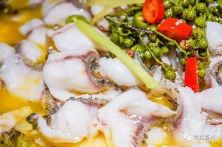 最新吃酸菜鱼爆料图片,网红图片揭秘独特烹饪技巧！”