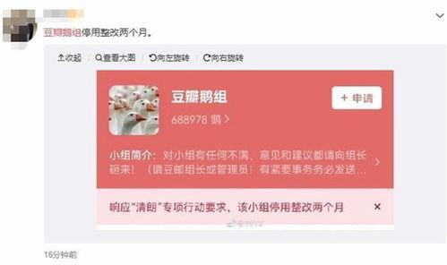 明星八卦大爆料最新豆瓣,豆瓣热议,娱乐圈幕后真相大揭秘
